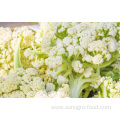 Quality Delicious Frozen Cauliflower